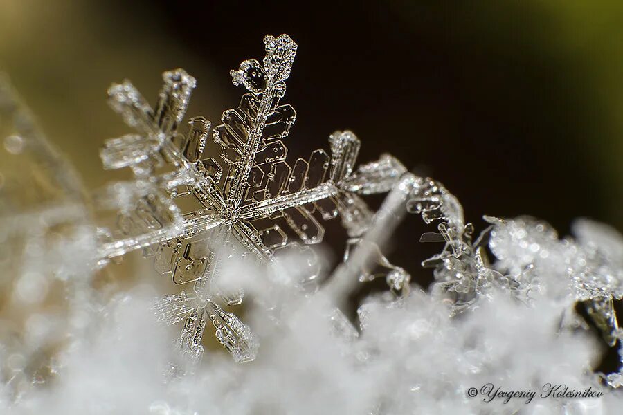 фигуры изо льда. уход зимы хрусталя. хрустальная зима природа. скульптуры из льда. зимний хрусталь.