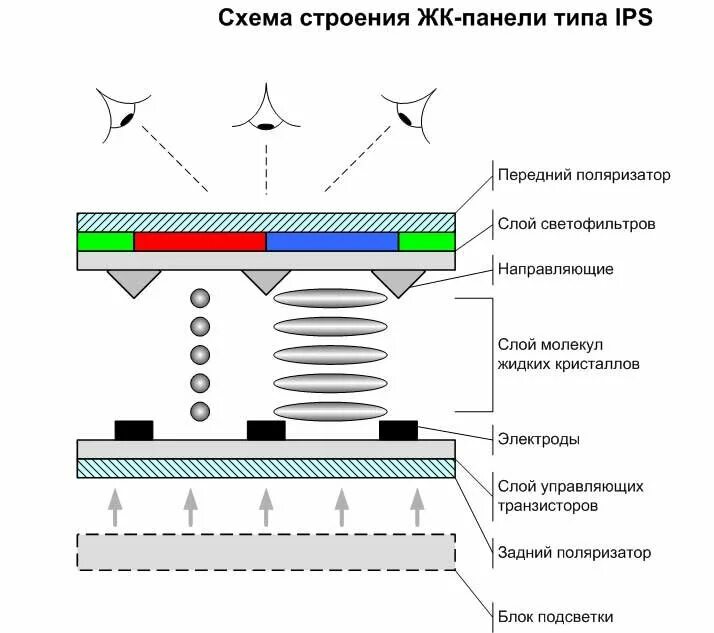 Tft ips матрица. Строение ips матрицы. матрица монитора tn ips va. ips матрица схема. строение ips дисплея.