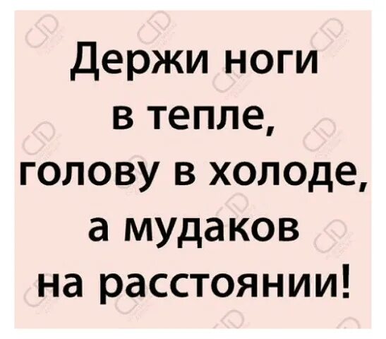 Держи сказал. Держи ноги в тепле а голову в холоде. Ноги в тепле голова в холоде. Пословица ноги в тепле голова в холоде. Держи ноги в тепле.