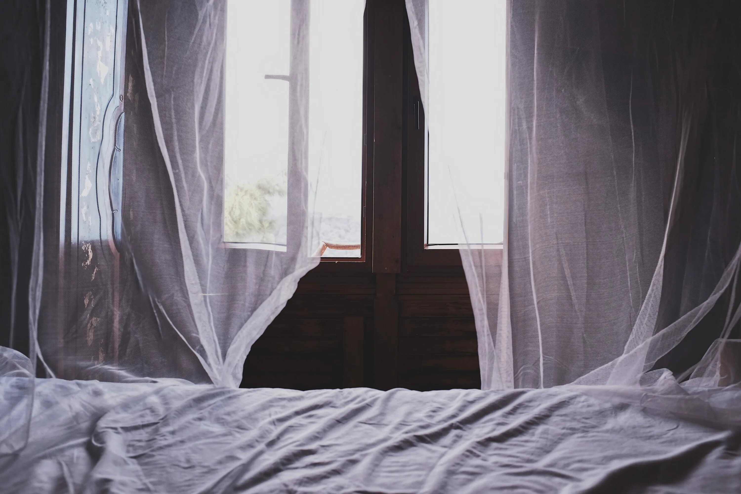 He the window in the room