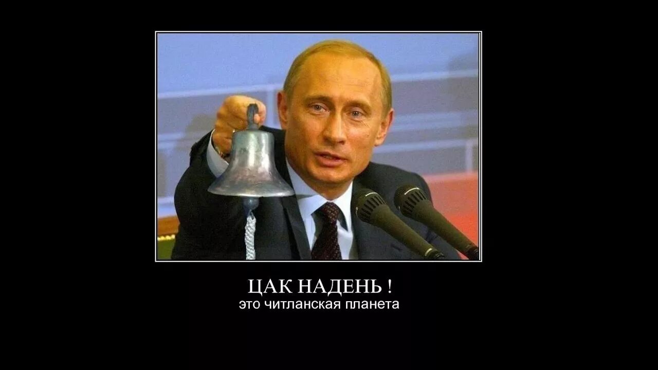 Цак график заседаний. Цак надень. одень цак родной. цак надень и радуйся. ты цак надень и в пепелаце сиди.