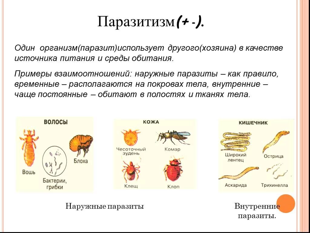 Примеры питания паразитов. Биотические отношения паразитизм примеры. Паразит и хозяин примеры растений. Биотические взаимодействия паразитизм.