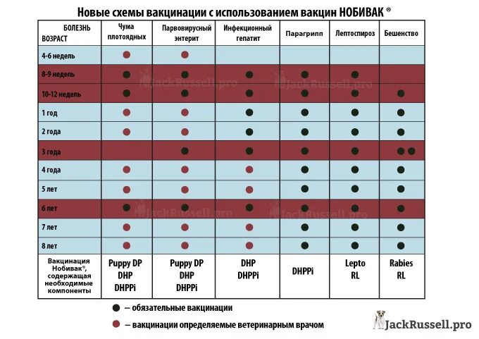 Через сколько можно гулять после 2 прививки. Нобивак график вакцинации. Схема прививок Нобивак для собак. Нобивак схема вакцинации щенков. Nobivac DHPPI схема вакцинации.