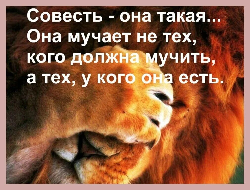 Изменила мучает совесть. Совесть она такая. Совесть мучает тех у кого она есть. Совесть она такая она мучает. Цитаты мучает совесть.