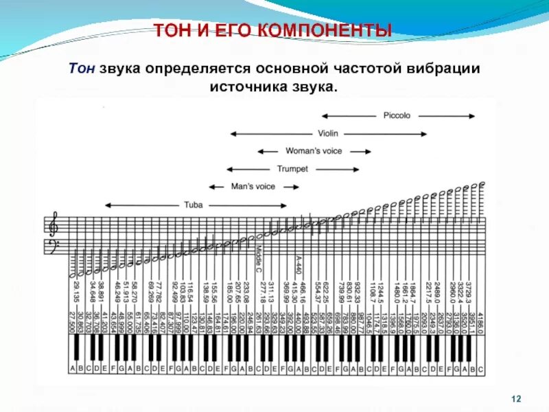 Тональный звук. Звук основная частота основной тон. Тоны и шумы. Тоны и шумы звука.