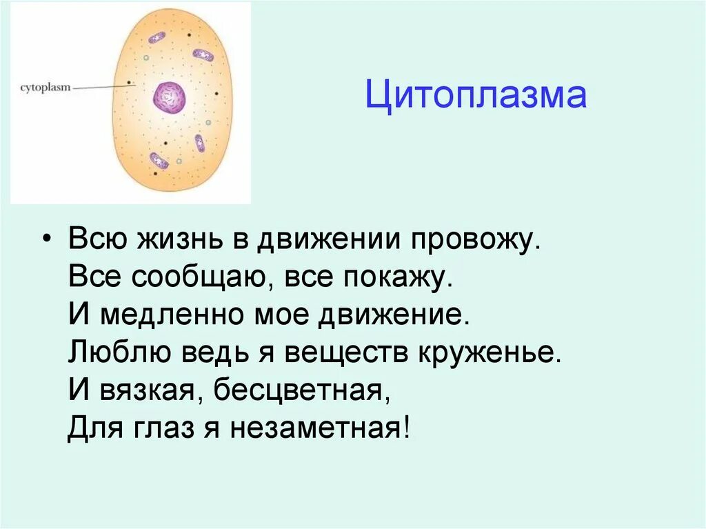 Какой основной компонент содержится в цитоплазме. Цитоплазма клетки 5 класс биология. Что такое цитоплазма в биологии 5 класс. Строение клетки 5 класс цитоплазма.