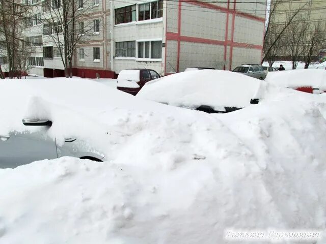 Погода в чехове на неделю московской области. Погода в Чехове. Погода город Чехов. Погода в Чехове сегодня. Погода в Чехове Московской.