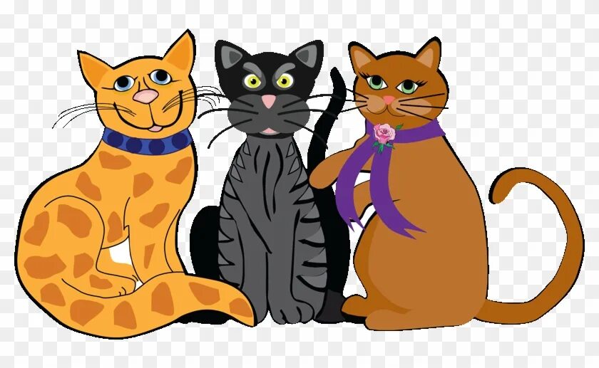Are they cats. Факты о картун кэте. Look me made you cats. Are they cats. Are they cats.