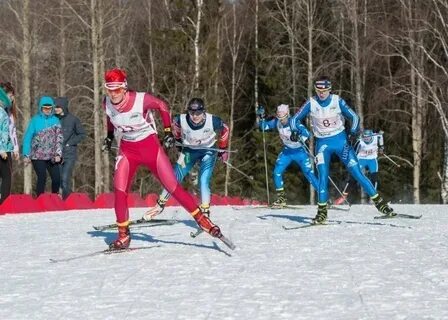 Спортбокс лыжи