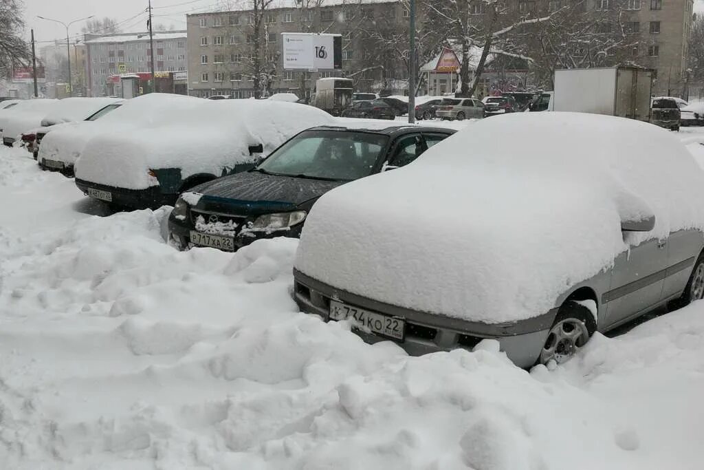 С возвращением зимы. Сугробы Толстого. Толстушки в снегу.