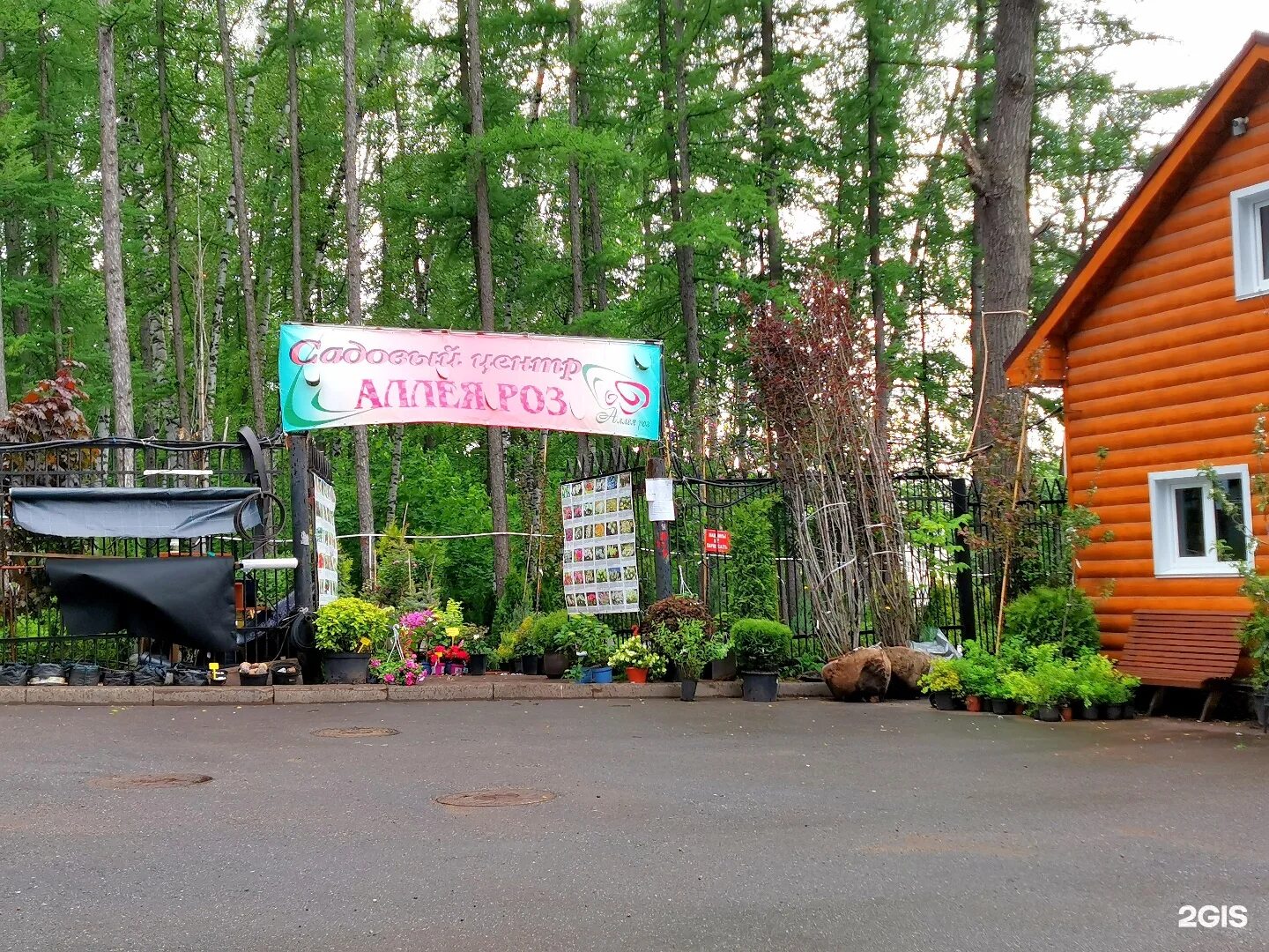 садовый центр аллея. аллея садовый центр. аллея роз уфа. садовый центр аллея в афонино. садовый центр аллея.