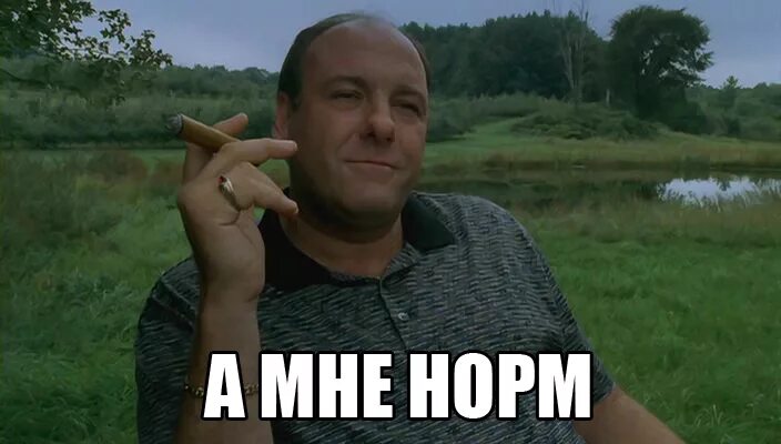 Все нормально пою. Мем я нормальный нормальный. Я нормальный прикол.