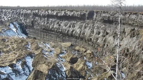 Сибирский грунт