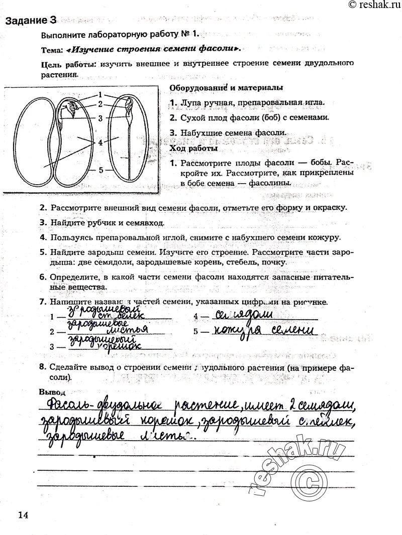 Тест по биологии 6 класс строение семян. Лабораторная по биологии 6 класс строение семян. изучение строения семени фасоли лабораторная.