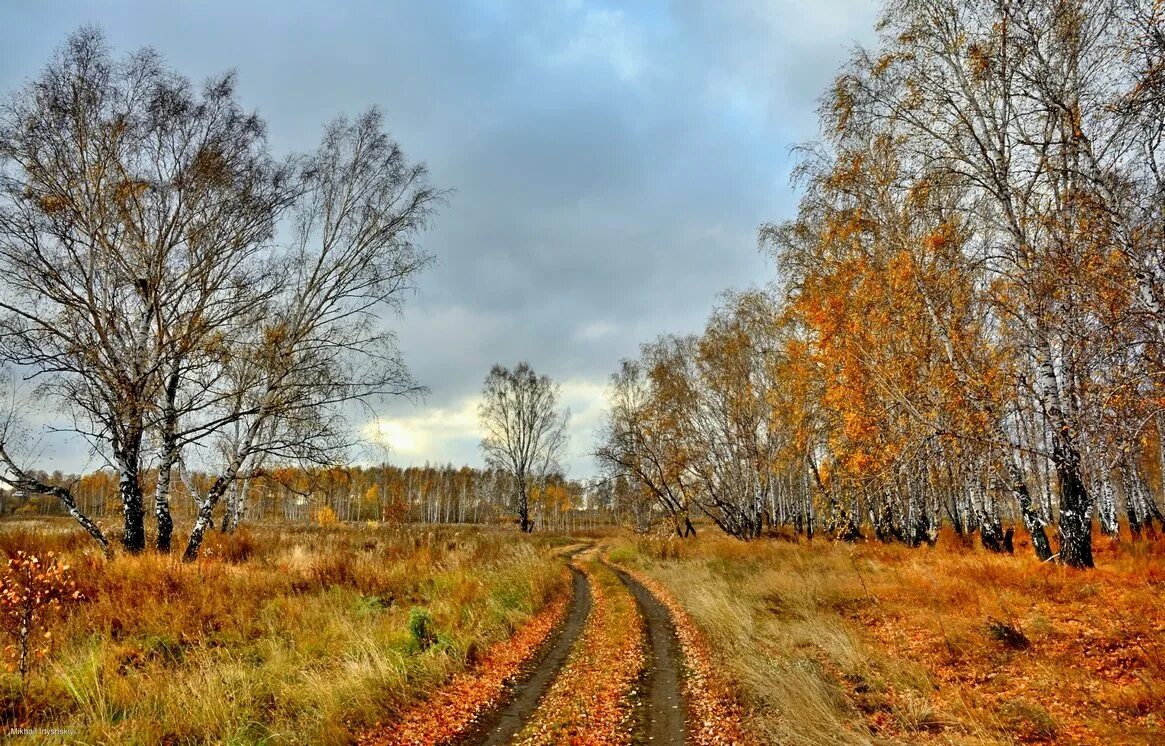 Октябрь. Осень октябрь. Середина осени. Октябрь середина осени. Середина октября природа.