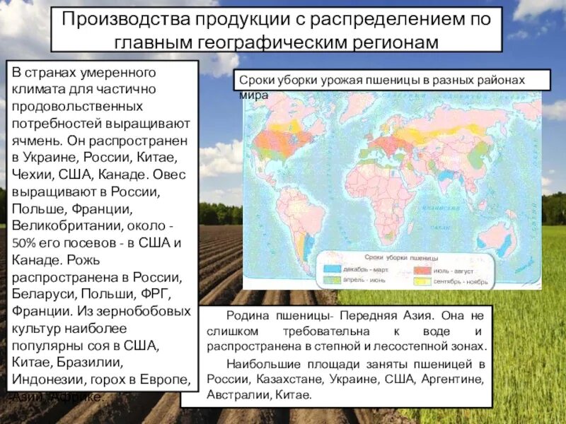 Размеры производства продукции. Размеры производства продукции с р. Размеры производства продукции с распределением. Размеры производства по главным регионам.