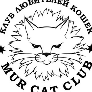 Кат клуб