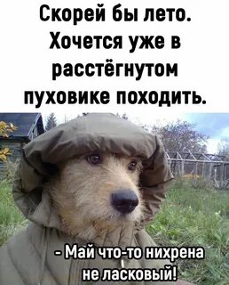 Какое нынче лето
