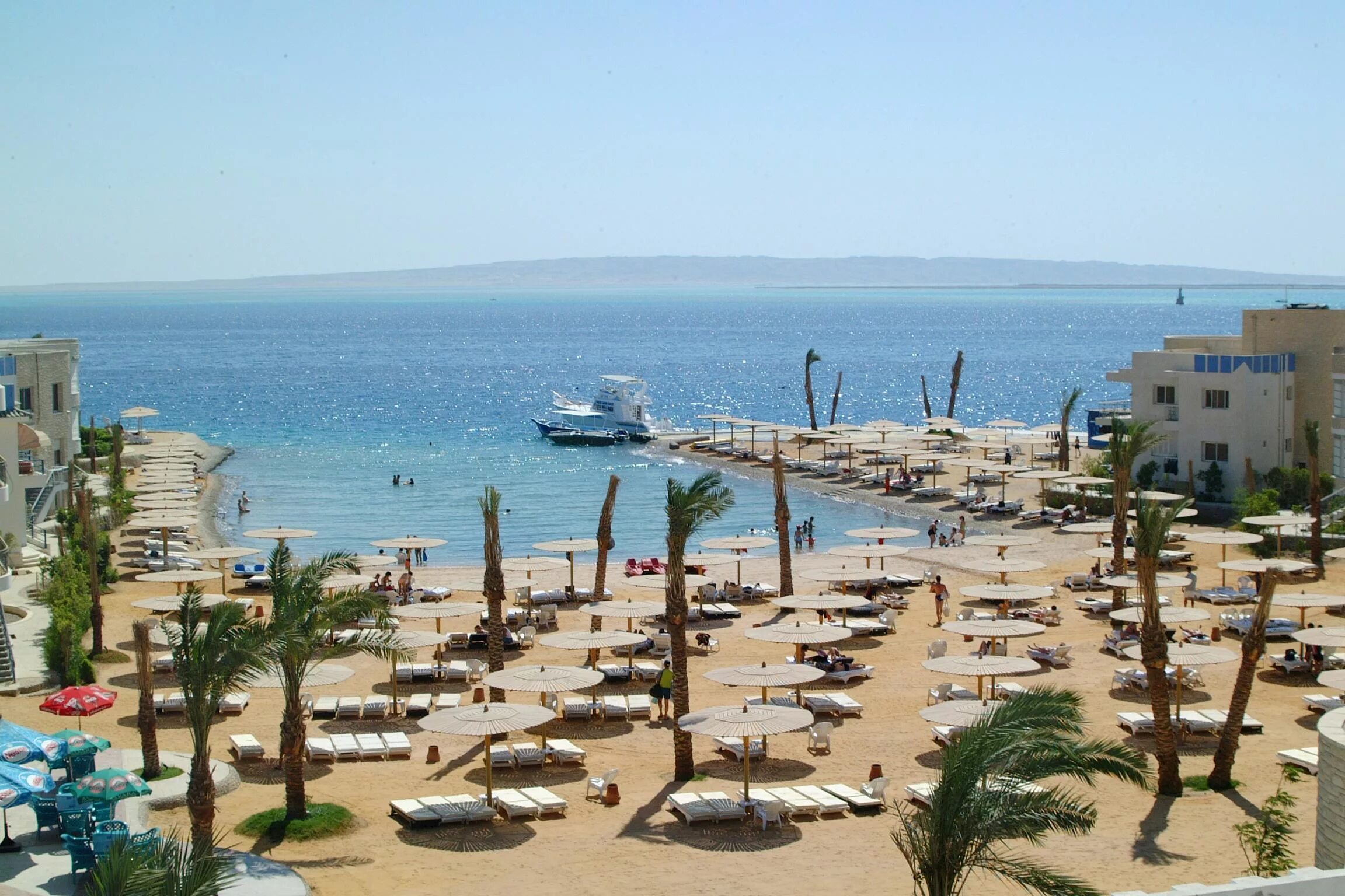 Hurghada seagull resort 4. Сигал Бич Резорт 4 Хургада. Отель Сигал Египет. Отель Сигал Египет Хургада. Seagull Hotel 4 Хургада.