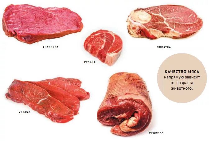 Части говядины. Название мяса. Название частей мяса говядины. Куски мяса названия говядины.