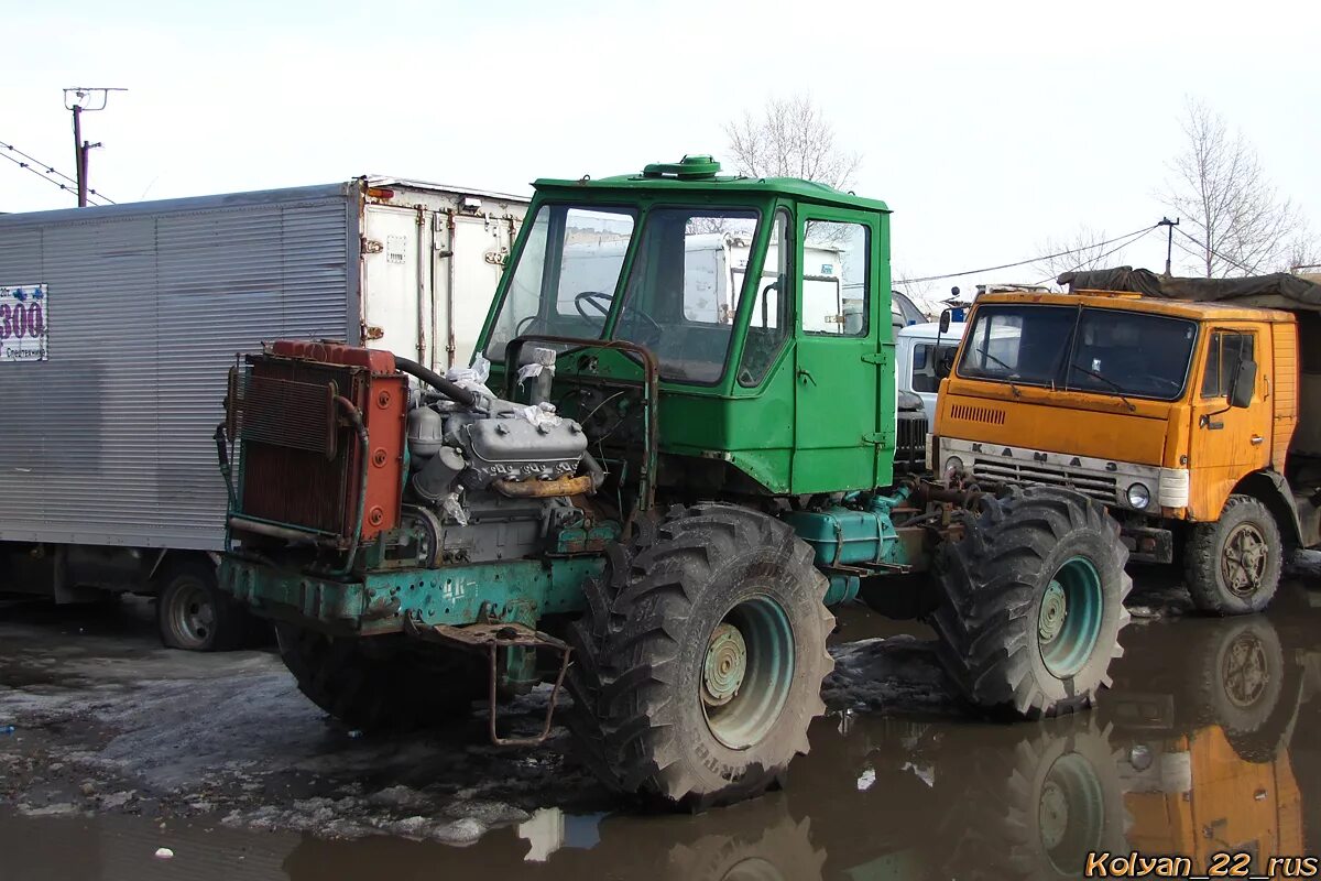 газ 3307 бортовой зеленый. зил 130 самосвал. зил 130 алтайский край. газ 53 алтаец. зил бычок а140кн53.