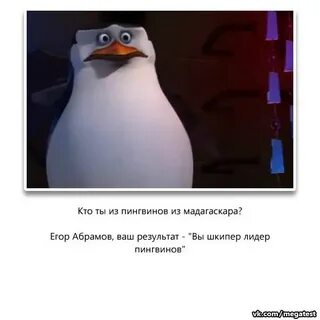 Шкипер это кто
