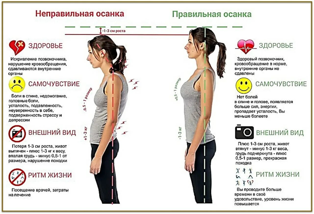 Правильное положение позвоночника стоя. Правильная осанка. Правильная ОСАНКАОСАНКА. Неправильная осанка.