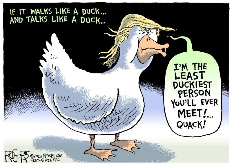 Walk like an angel. Duck you. duck walk. swim like a duck русский эквивалент. vector walk like a duck.