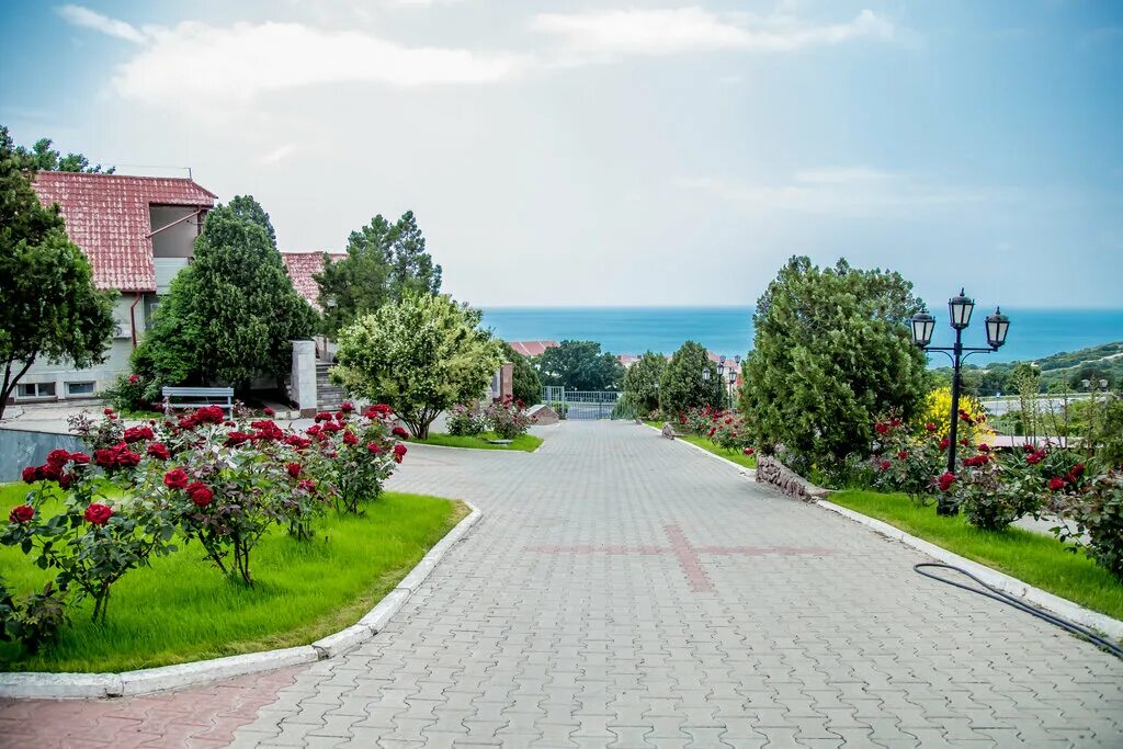 Елка хиллс сукко. Индиго анапа сукко. Елка хиллс сукко. Елка хиллс сукко. Отель елка хиллс сукко.