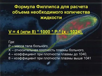 Холера постановление главного