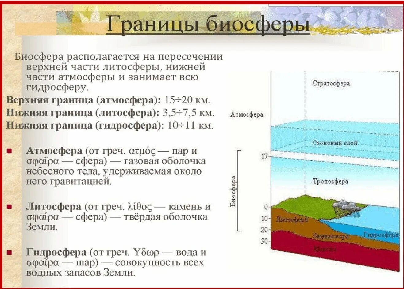 Нижняя граница биосферы в литосфере. Каковы границы биосферы. Границы биосферы по Вернадскому. Границы биосферы схема 11 класс.