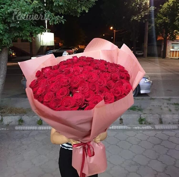 Букет из роз в виде сердца. Букет роз огромный. Букет 202 розы. Букет 501 розы красной. Огромные букеты из роз.