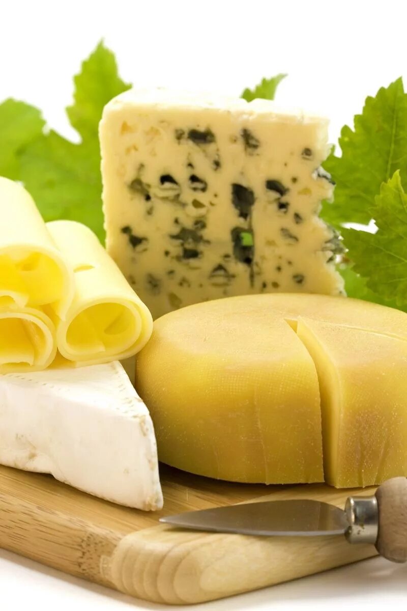 Плакат сыр. Сыр пармезан. Головка сыра. Сыр это живой продукт. Лимбургский сыр живой.