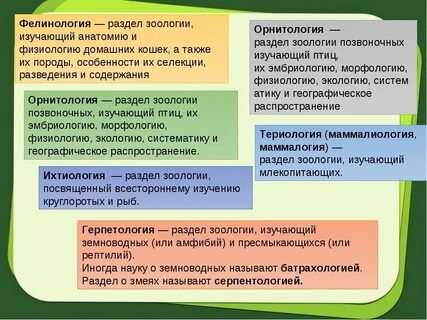 Что изучает зоология 8 класс