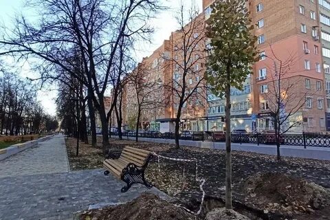 Звездинка нижний новгород
