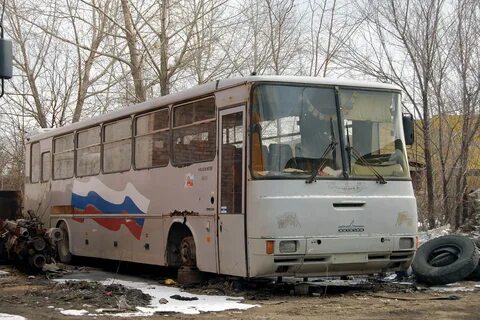 63 самарская область