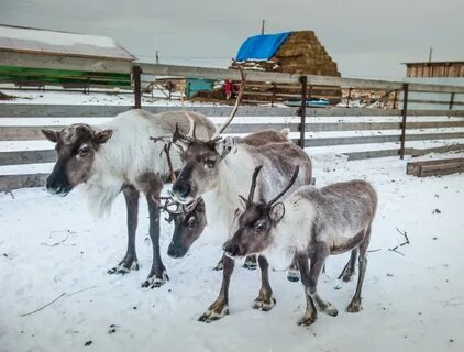Уральская заимка