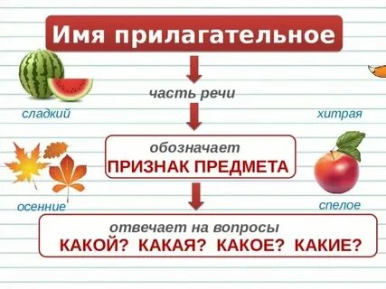 Рабочий лист прилагательные 3 класс