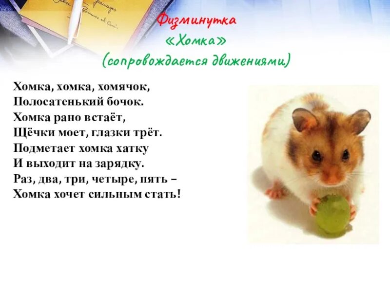 Хомяк хомка. Хомка хомка хомячок полосатенький бочок стих физминутка с движениями. физминутка хома хома хомячок. хома хомячок физкультминутка. хома хома хомячок полосатенький бочок физкультминутка.