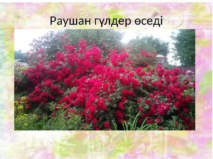 Қыздарды жыныстық қатынас үшін ажырасу видеолары