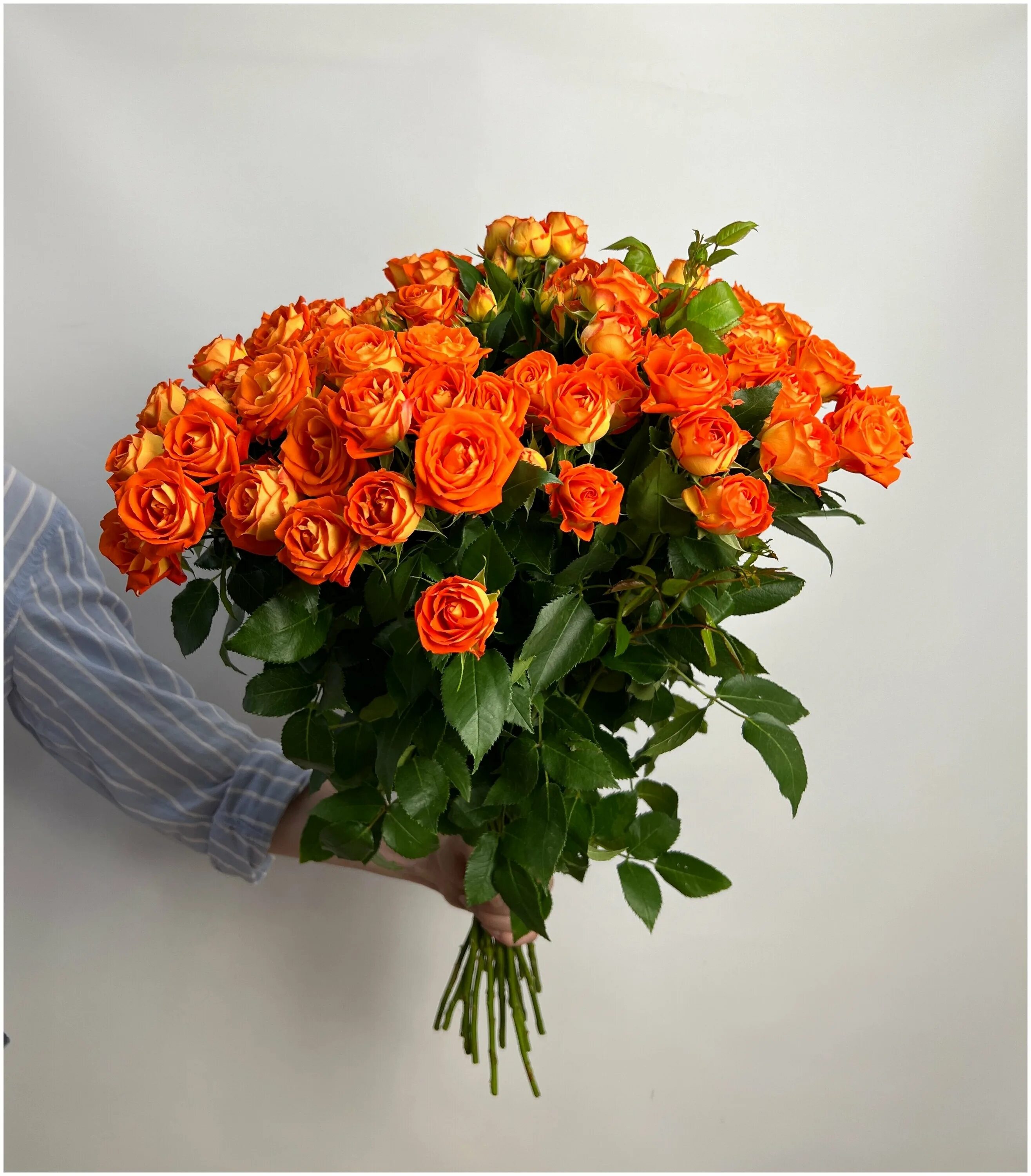 Кустовая оранжевая. Оранжевые кустовые розы. Кустовая оранжевая. Оранжевые кустовые розы. Кустовая оранжевая.