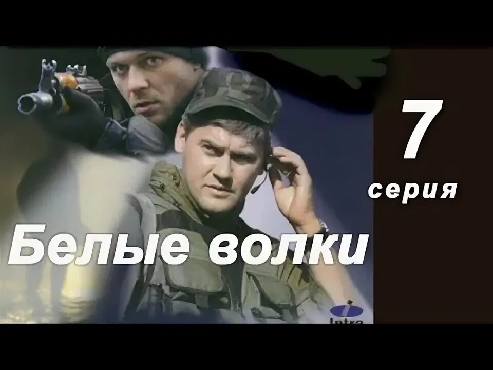 Белый волк фото. Белые волки 13. Белый волк зима. Белые волки 2. Белый полярный волк.
