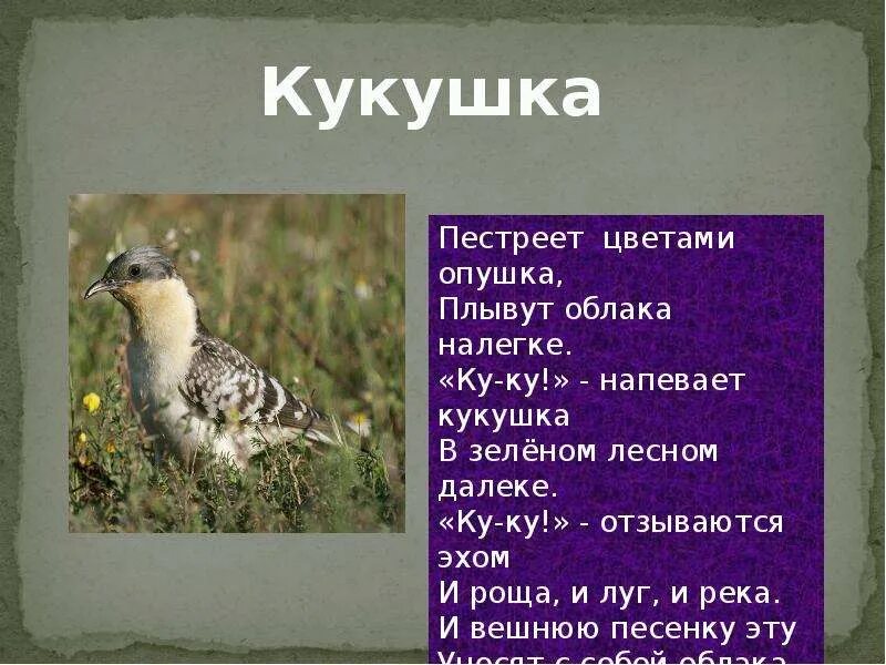 Кукушка кукует стих