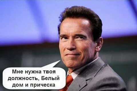 Слова шварценеггера