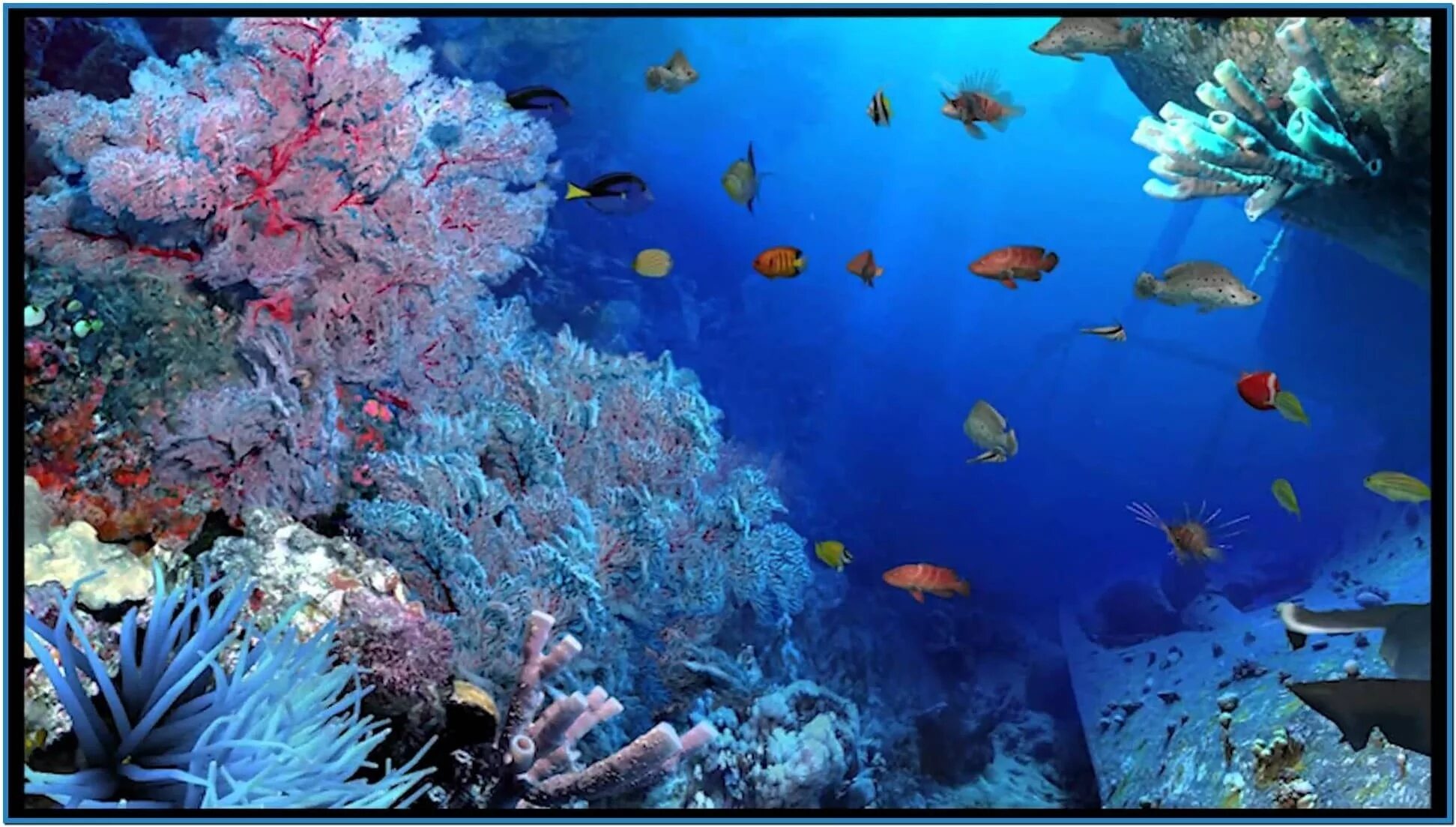 Река в океане 7. Подводный мир. Красивые подводные пейзажи. Подводный мир океана. Морское дно.