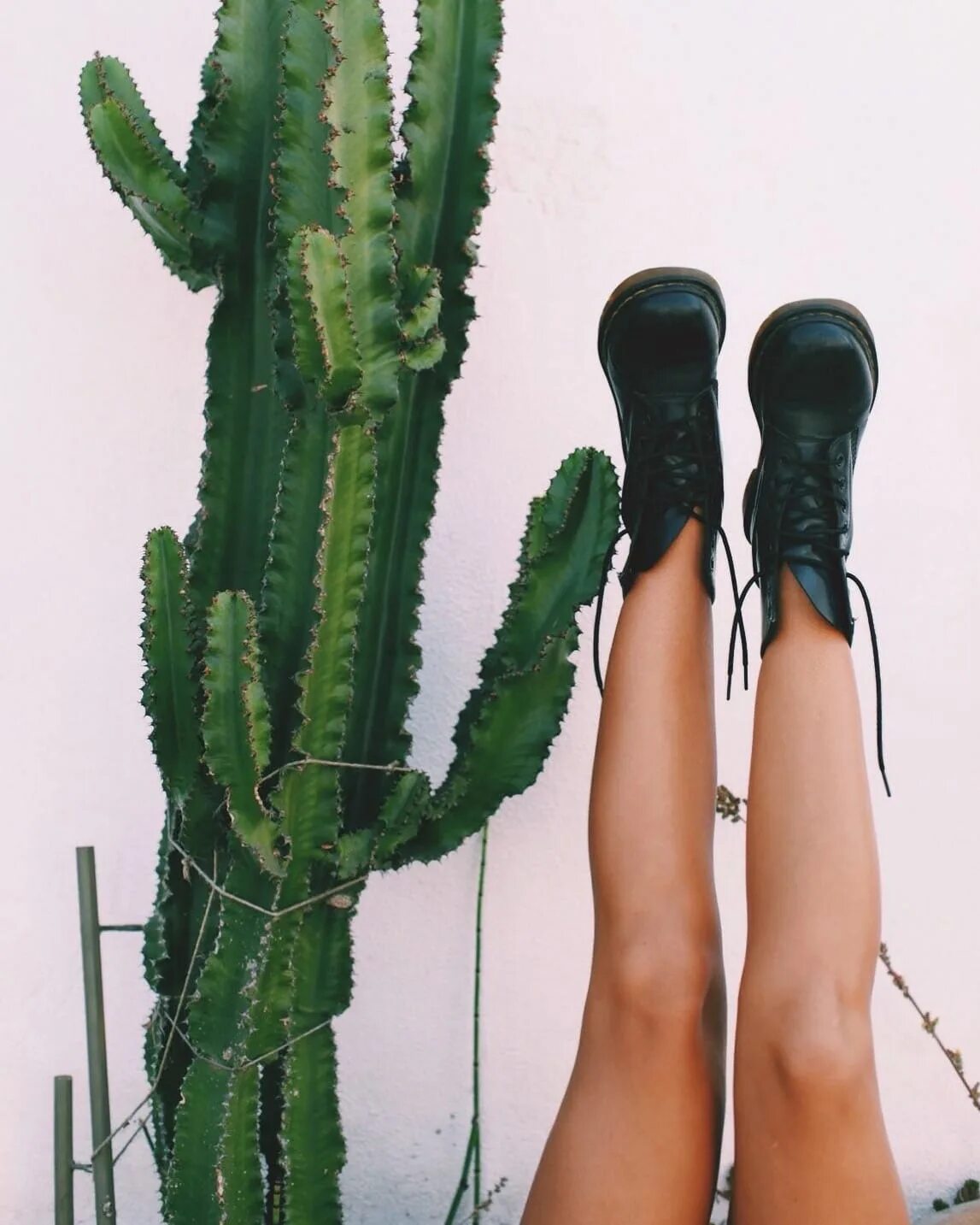 Аппарат турбо g8. Cactus с вибромассажем. Вибротренажер 501. G5 массажный аппарат. Yellow cactus chair.