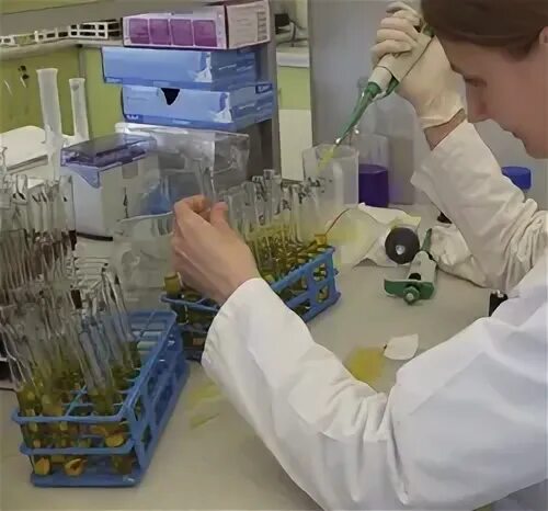 Материалы для лабораторных исследований. Микробиологическая лаборатория. Врач лаборант. Послевузовское профессиональное образование. Оборудование ветеринарной лаборатории.