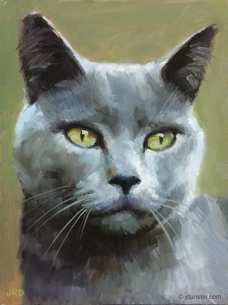 Кот гуашью. Кошка гуашью. серый кот живопись. портрет серого кота живопись.