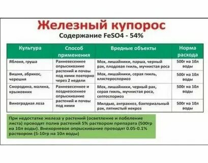 Железный купорос для обработки плодовых деревьев весной