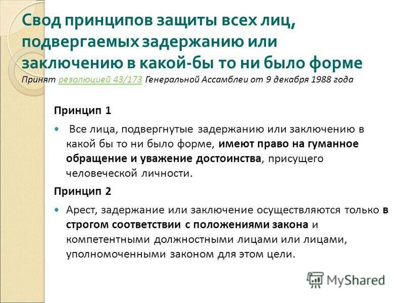 обращение с заключенными. свод правил фото. свод международных законов. свод принципов защиты всех лиц. свод принципов защиты всех лиц.